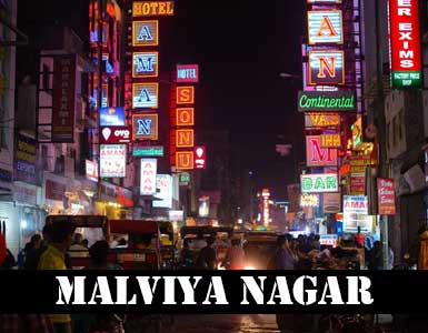 Malviya Nagar Delhi Escorts