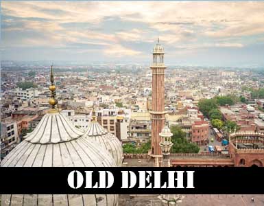 Old Delhi Escorts