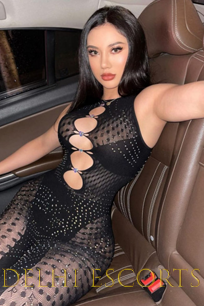 Party Escorts Delhi